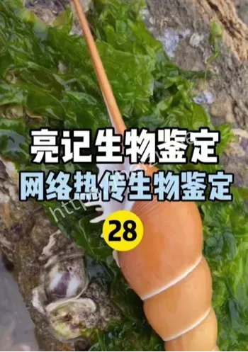 生物鉴定第58期离谱